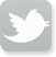 Icon footer tw